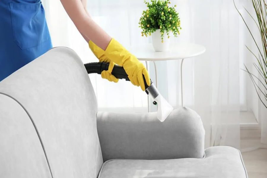 sofa cleaning