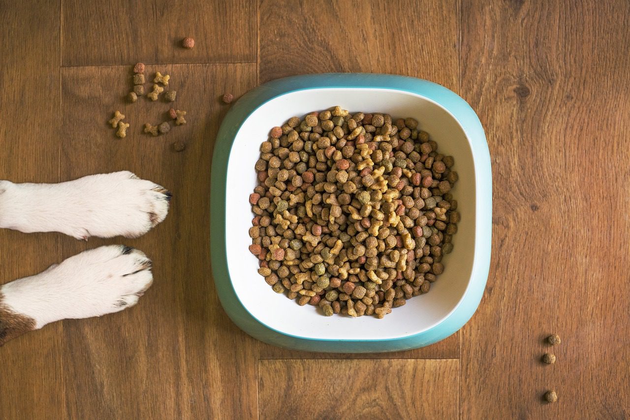 fresh dog food, dog bowl, dog kibble